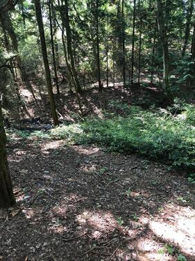 Foto - Grundst&uuml;ck zum Kaufen in Borken