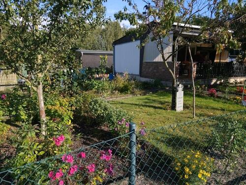 Foto - Grundst&uuml;ck zur Miete in Guben