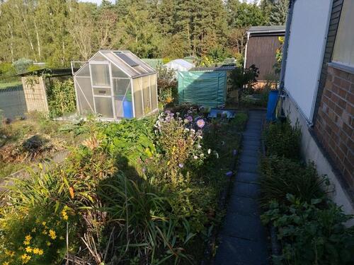 Foto - Grundst&uuml;ck in Guben zur Miete