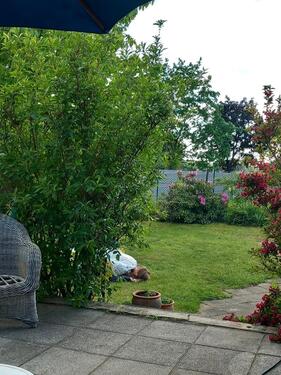 Foto - Frei stehender Garten am Großen Teich abzugeben