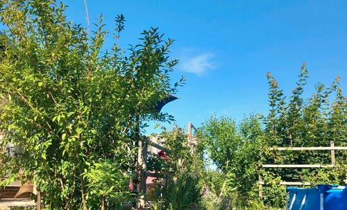 Foto - Grundst&uuml;ck in Torgau