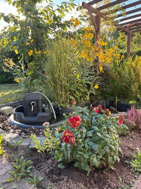 Foto - Grundst&uuml;ck zur Miete in Chemnitz