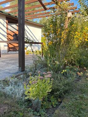 Foto - Grundst&uuml;ck in Chemnitz