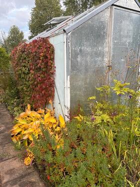 Foto - Grundst&uuml;ck in Chemnitz zur Miete