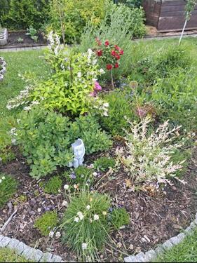 Foto - Grundst&uuml;ck in Oer-Erkenschwick