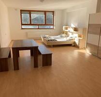 Großes, möbliertes 1-Zi.-Apartment mit separater Küche und Bad - Dasing