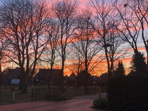 Foto - Einfamilienhaus zur Miete in Delmenhorst