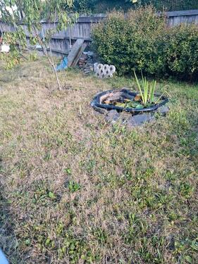 Foto - Grundst&uuml;ck in Plauen zur Miete