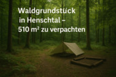 Foto - Ruhiges Waldgrundstück in Henschtal Freizeit und Natur
