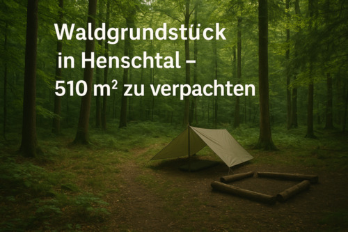 Foto - Ruhiges Waldgrundstück in Henschtal Freizeit und Natur
