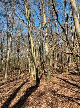 Foto - Grundst&uuml;ck in Herschweiler-Pettersheim