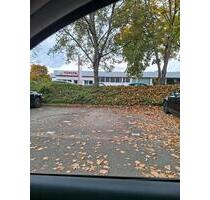 Stellplatz fur PKW in 67227 Frankenthal - Frankenthal (Pfalz)