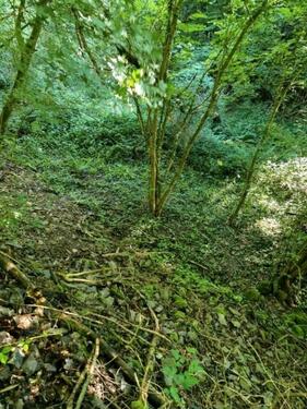 Foto - Grundst&uuml;ck in Bruttig-Fankel zur Miete