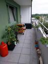 Foto - 3 Zimmer Wohnung hell gut geschnitten ruhig