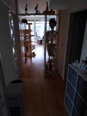 Foto - Etagenwohnung in Braunschweig zur Miete