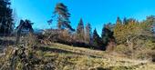 Foto - Grundstück zur Miete in Oberursel (Taunus)