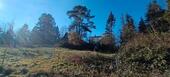 Foto - Grundstück in Oberursel (Taunus)