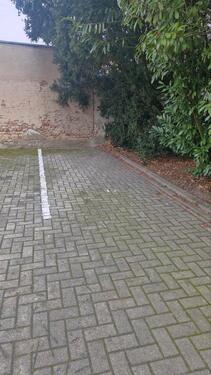 Foto - Stellplatz für Auto - 50,00&nbsp;EUR Miete,