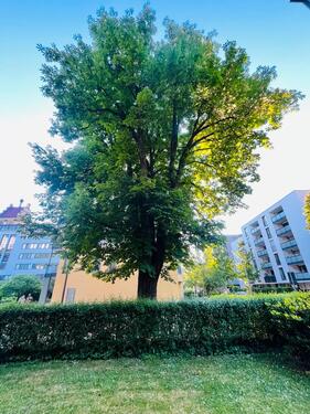 Foto - Gartenparadies in Freiburg Herdern