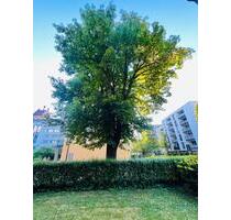 Gartenparadies in Freiburg Herdern - Freiburg im Breisgau