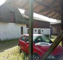 Resthof arrondierte Weiden, provisionsfrei, Alleinlage,Pferde - Hambergen