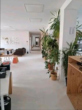 Foto - andere zur Miete in München