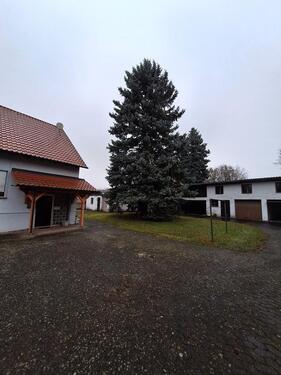 Foto - 4 Zimmer Einfamilienhaus in Lauter