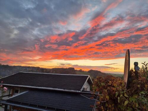 Foto - Grundst&uuml;ck zur Miete in Pirna