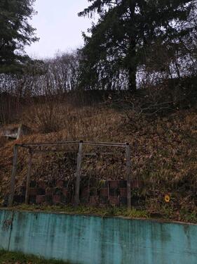 Foto - Einfamilienhaus in Königsmoos zum Kaufen