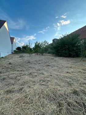 Foto - Grundstück zur Miete in Ulm