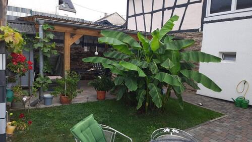 Foto - 7 Zimmer Einfamilienhaus zum Kaufen in Kirn