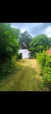 Foto - 5000 qm mit Haus & Scheune Sanierungsobjekt für Naturliebhaber