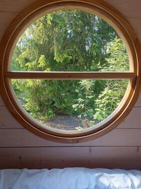 Foto - andere in Sinsheim