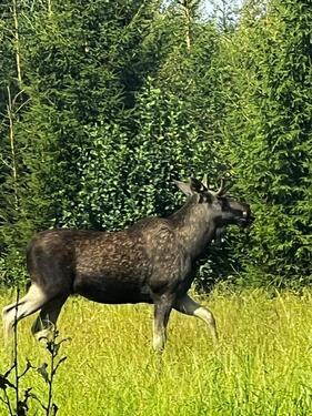 Foto - andere in Sinsheim zur Miete