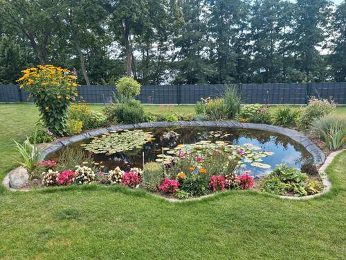 Foto - 3 Zimmer Erdgeschoßwohnung zur Miete in Sternberg