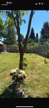 Foto - Einfamilienhaus in Moers zum Kaufen