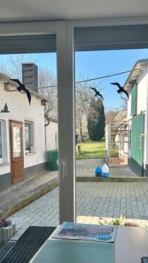 Foto - Einfamilienhaus mit Grundstück und Nebengebäuden