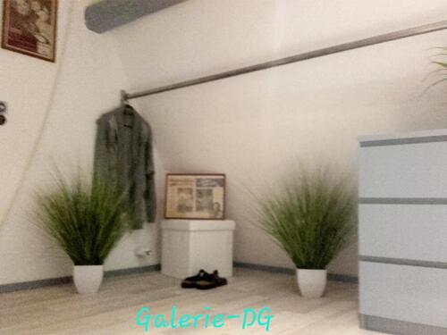 Foto - Eigentumswohnung- oder eignes kleines Haus