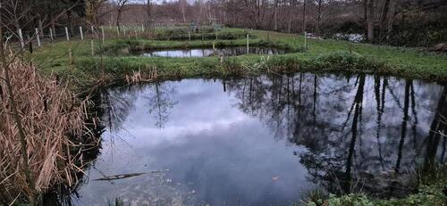 Foto - Verschiedene Teiche zum Verpachten Nähe Hohenwestedt