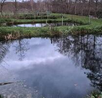 Verschiedene Teiche zum Verpachten Nähe Hohenwestedt