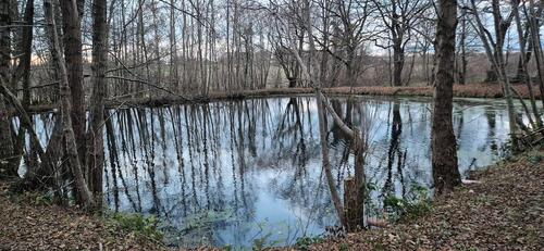 Foto - Grundst&uuml;ck zur Miete in Hohenwestedt