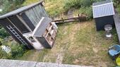 Foto - Einfamilienhaus in Großbreitenbach zum Kaufen