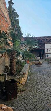 Foto - Reihenhaus in Calbe (Saale) zum Kaufen