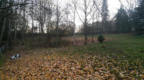 Foto - Freizeit Grundstück Keilberg 6000m2