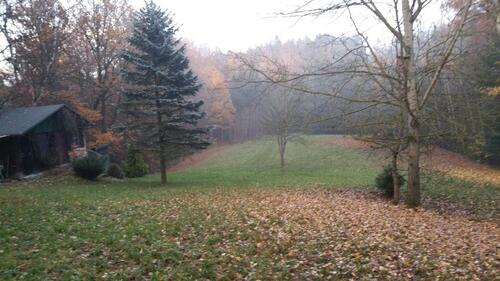 Foto - Grundstück in Bernhardswald zur Miete