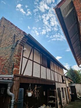 Foto - Einfamilienhaus in Ebeleben zum Kaufen