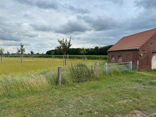 Foto - Stellplatz Wohnwagen Wohnmobil Parookaville San Hejmo