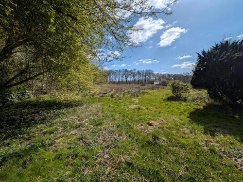 Foto - 7 Zimmer Einfamilienhaus in Loxstedt