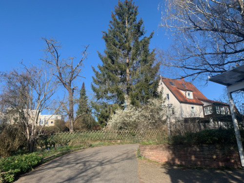 Foto - Haus statt Wohnung mieten - Renoviertes EFH mit grossem Garten