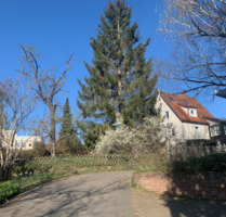 Haus statt Wohnung mieten - Renoviertes EFH mit grossem Garten - Weil der Stadt